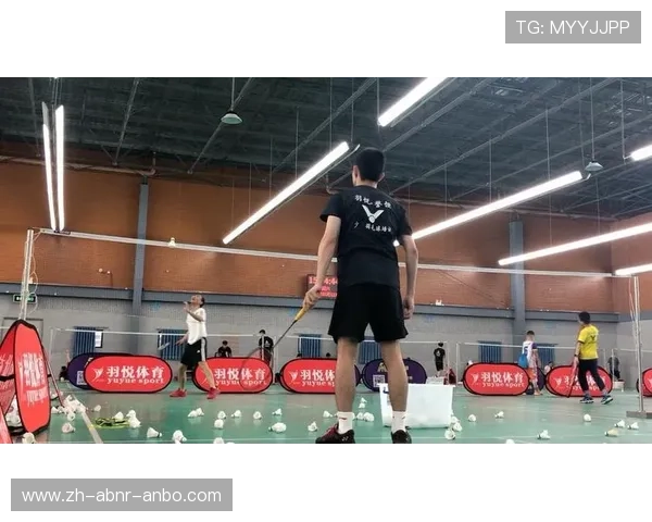 羽毛球挑球和吊球